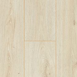 Balkan Oak