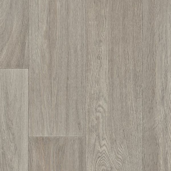 Anchor Oak