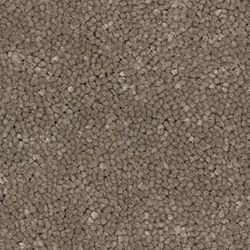 Gallant 220 FI02