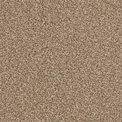 Sandstone 