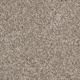 Cocoon Beige 91