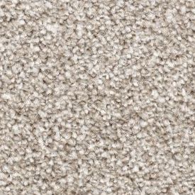 Almond 373