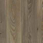Gambel Oak 619D