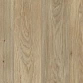 Gambel Oak 621M