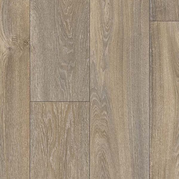 Havanna Oak 613M