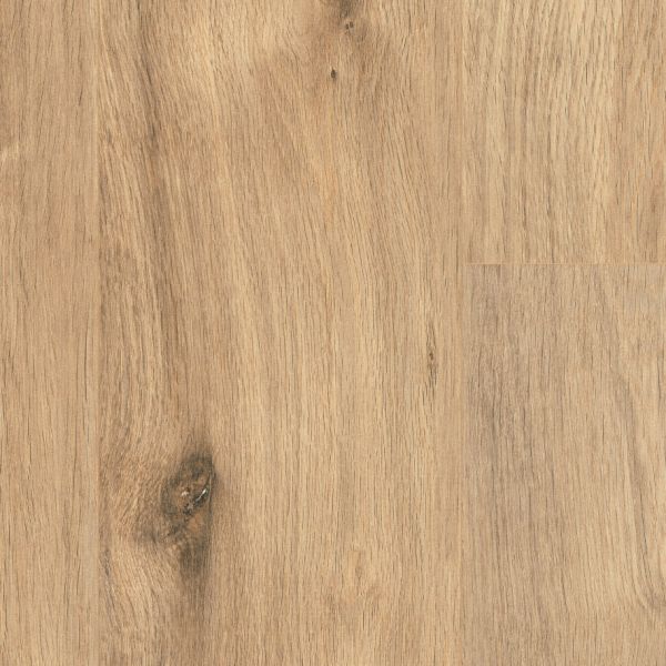 New England Oak FC33