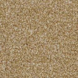 Barley Meadow 221 HI09
