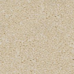 Linen Mist 221 HI11