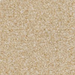 Pale Shell 221 HI10