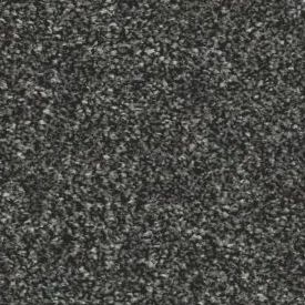 Pewter 76
